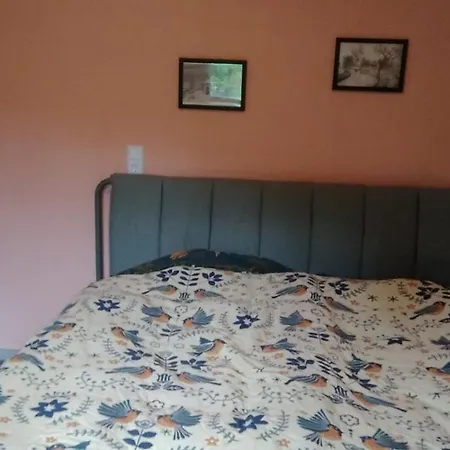 Friesenstee Mit Infrarotsauna Sack