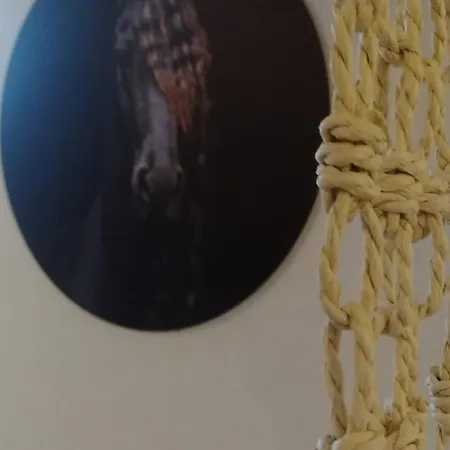 Friesenstee Mit Infrarotsauna Sack