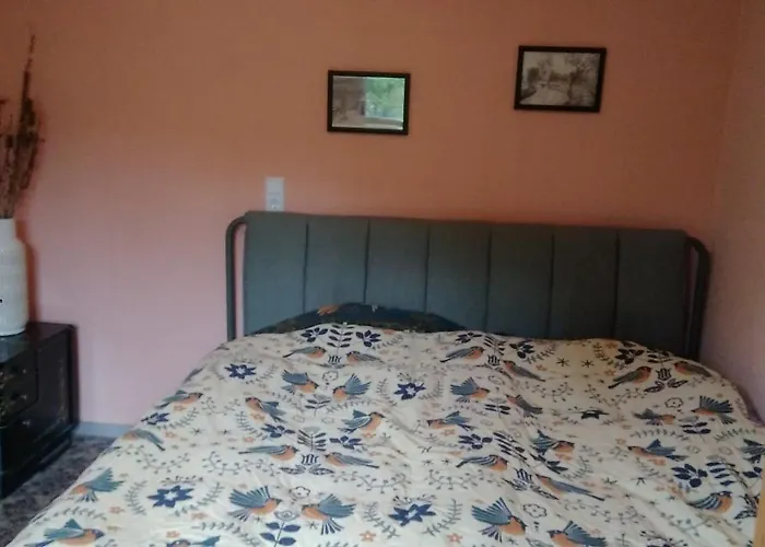 Friesenstee Mit Infrarotsauna Sack