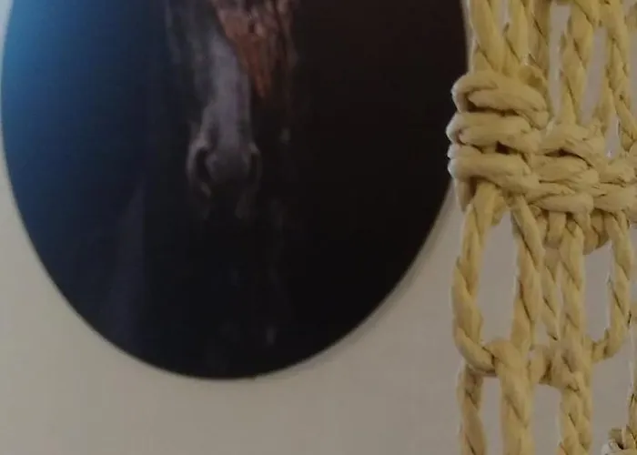 Friesenstee Mit Infrarotsauna Sack